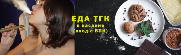 индика Кинешма