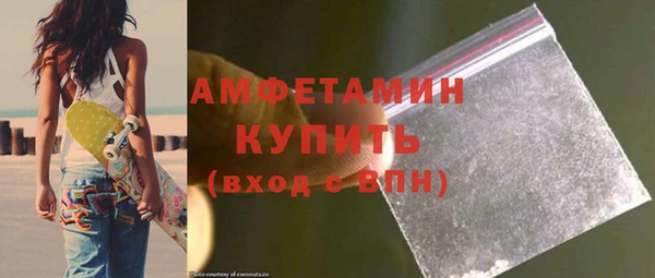 индика Кинешма