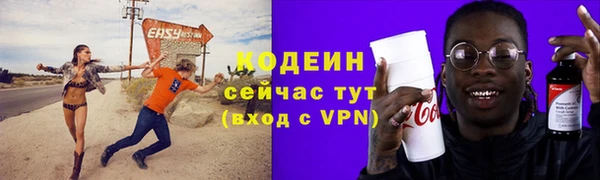 индика Кинешма