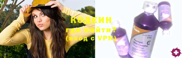 индика Кинешма