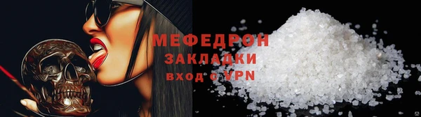 индика Кинешма
