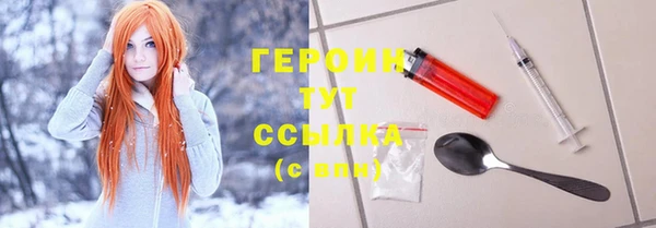 индика Кинешма