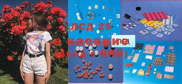 индика Кинешма