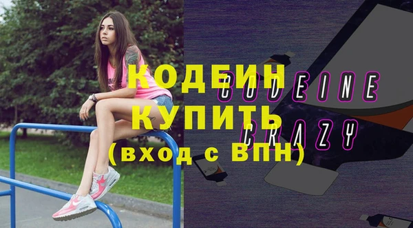 индика Кинешма