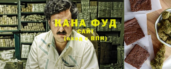 индика Кинешма