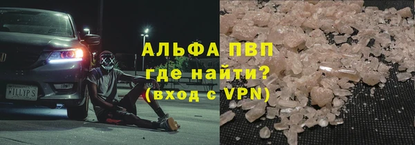 индика Кинешма