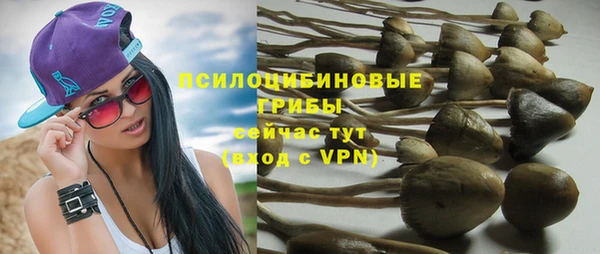 трава Куйбышев