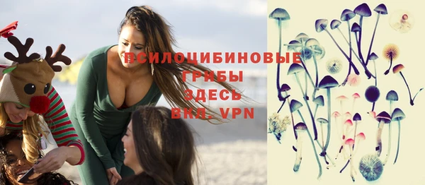 индика Кинешма