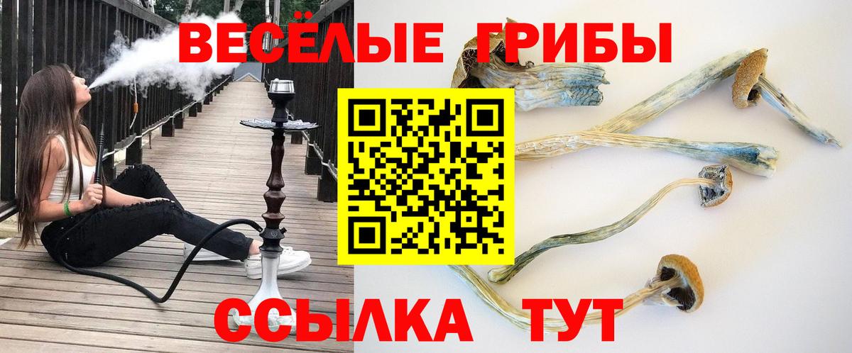 Псилоцибиновые грибы ЛСД  купить наркотики сайты  Березники 