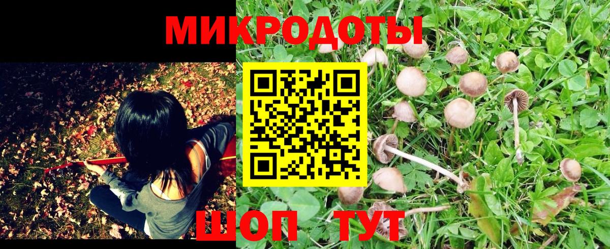 купить закладку  Вход с VPN  Березники  Галлюциногенные грибы Cubensis 