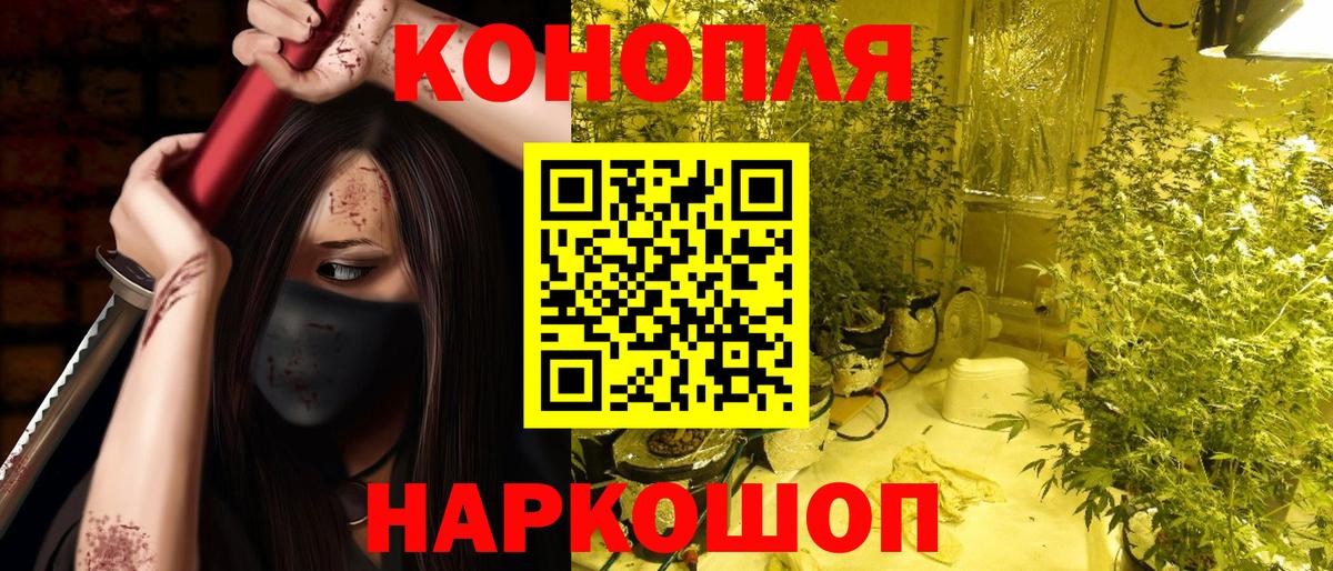 Канабис SATIVA & INDICA  Марихуана White Widow  Березники  Бошки Шишки семена  Каннабис семена 